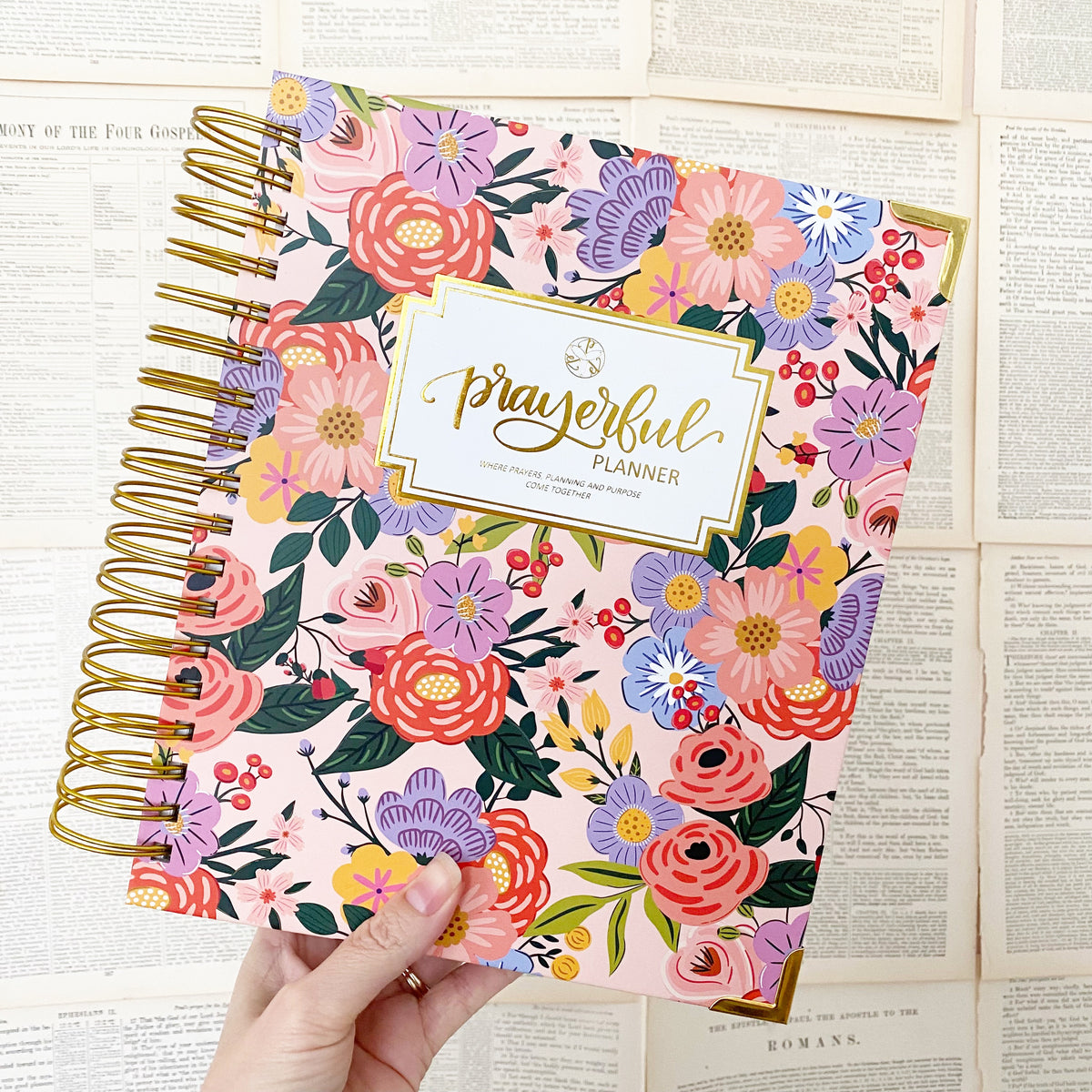 Daily Planner - &quot;UNDATED&quot; Radiant Rose