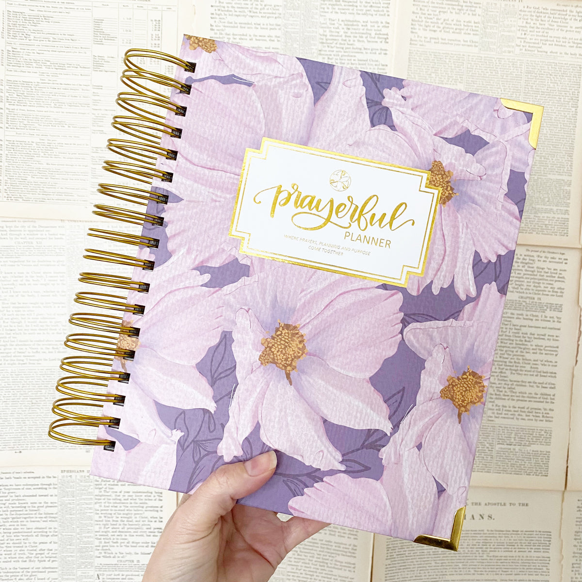 Daily Planner - &quot;UNDATED&quot; Luminant Lilac
