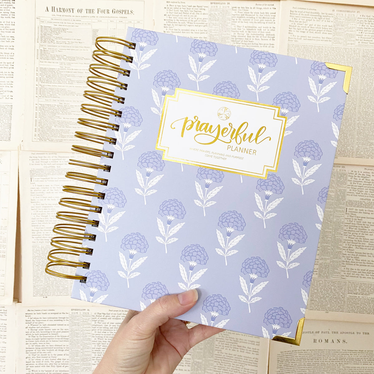 Daily Planner - &quot;UNDATED&quot; Splendid Sky