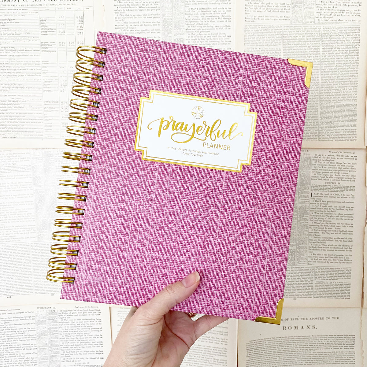 &quot;Weekly&quot; Planner - &quot;UNDATED&quot; Rose Linen