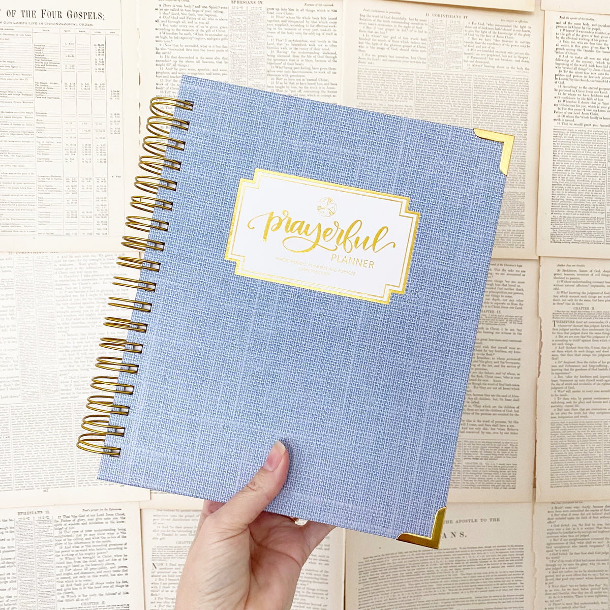&quot;Weekly&quot; Planner - &quot;UNDATED&quot; Sky Linen