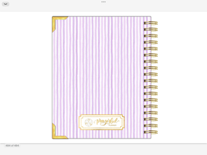 2027 Digital Planner All-In-One - Wildflowers