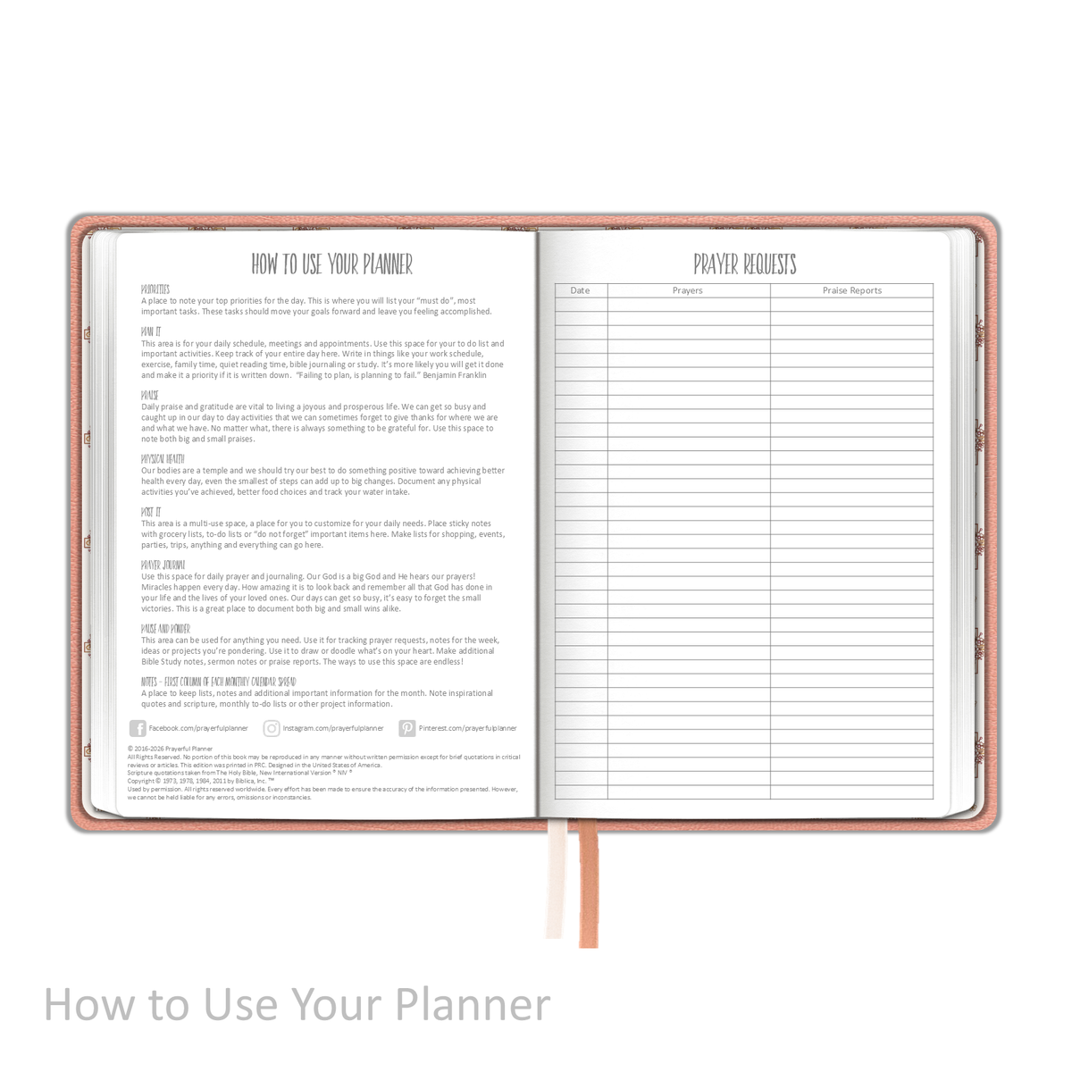 Weekly Planner - "UNDATED" Soft Cover PEACH BLOSSOM