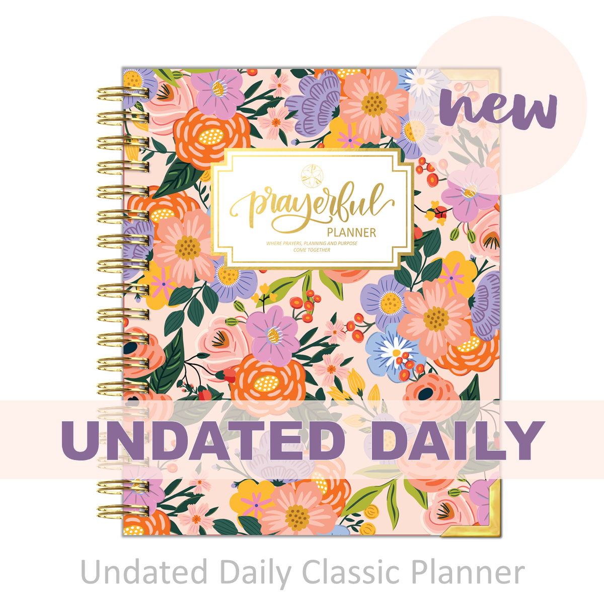 Daily Planner - &quot;UNDATED&quot; Radiant Rose