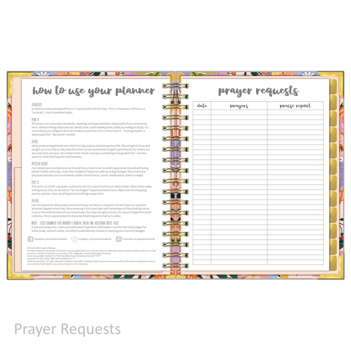 Daily Planner - &quot;UNDATED&quot; Radiant Rose