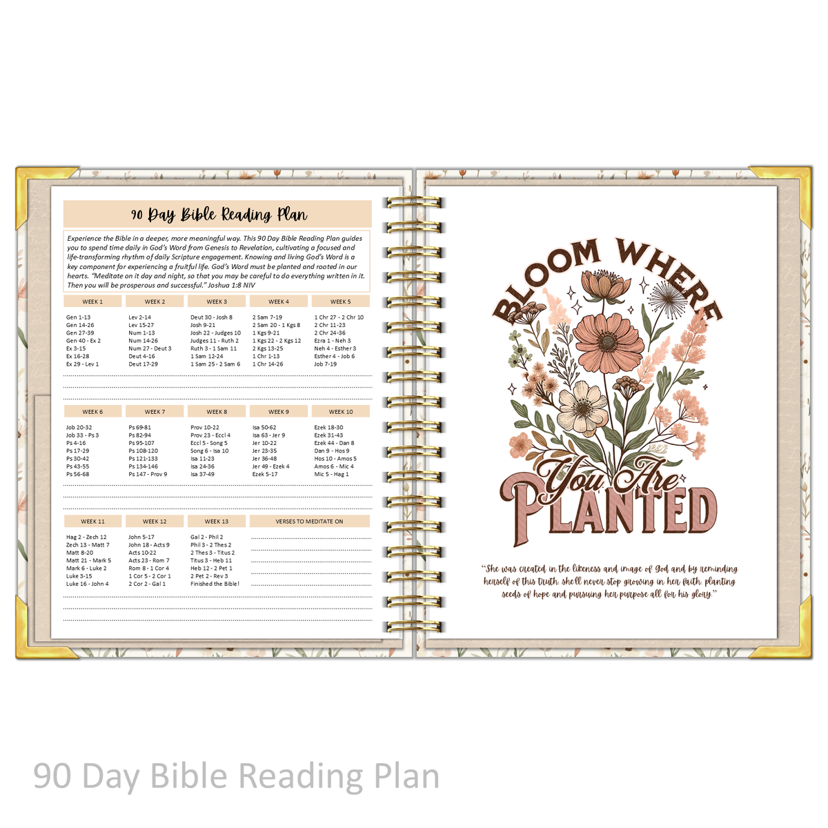Truth Journal Planting Truth Journal - Prayerful Planner