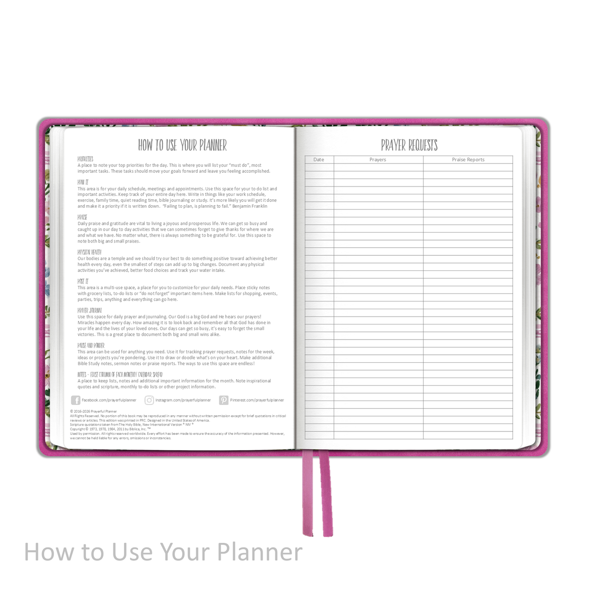 Weekly Planner - "UNDATED" Soft Cover FUCHSIA