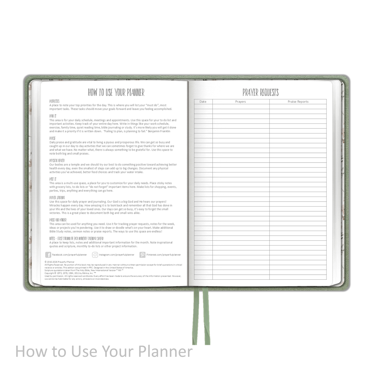 Weekly Planner - "UNDATED" Soft Cover FERN