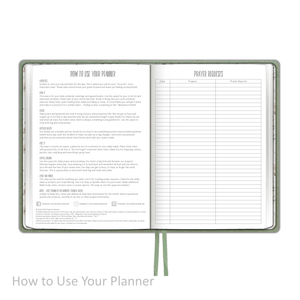 Weekly Planner - "UNDATED" Soft Cover FERN