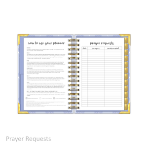 "Petite" Prayerful Planner - "UNDATED" Splendid Sky