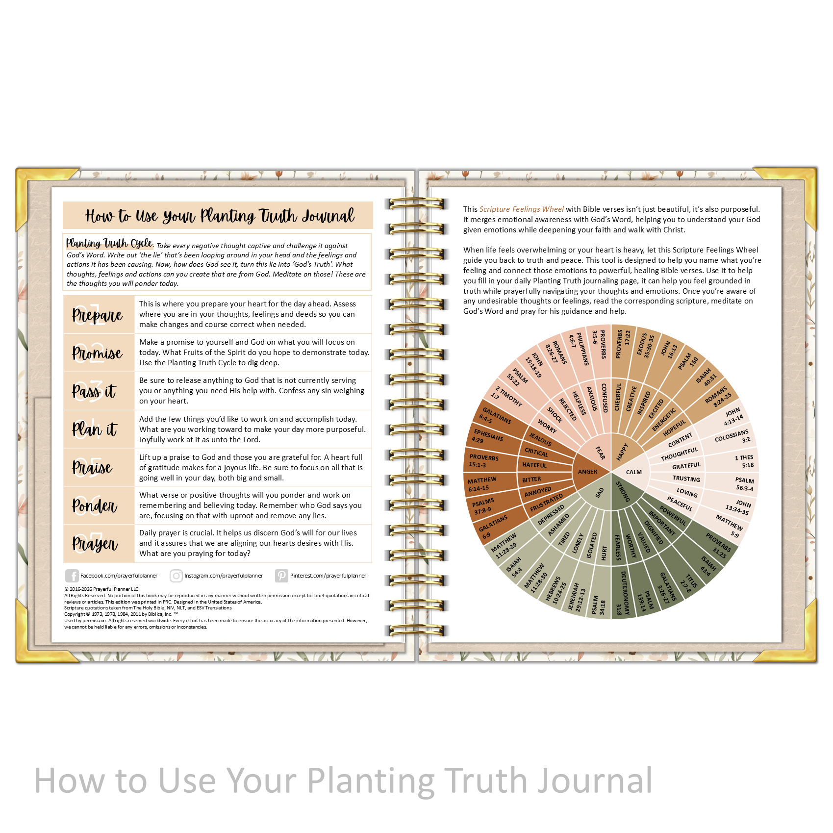 Truth Journal Planting Truth Journal Collection - Prayerful Planner