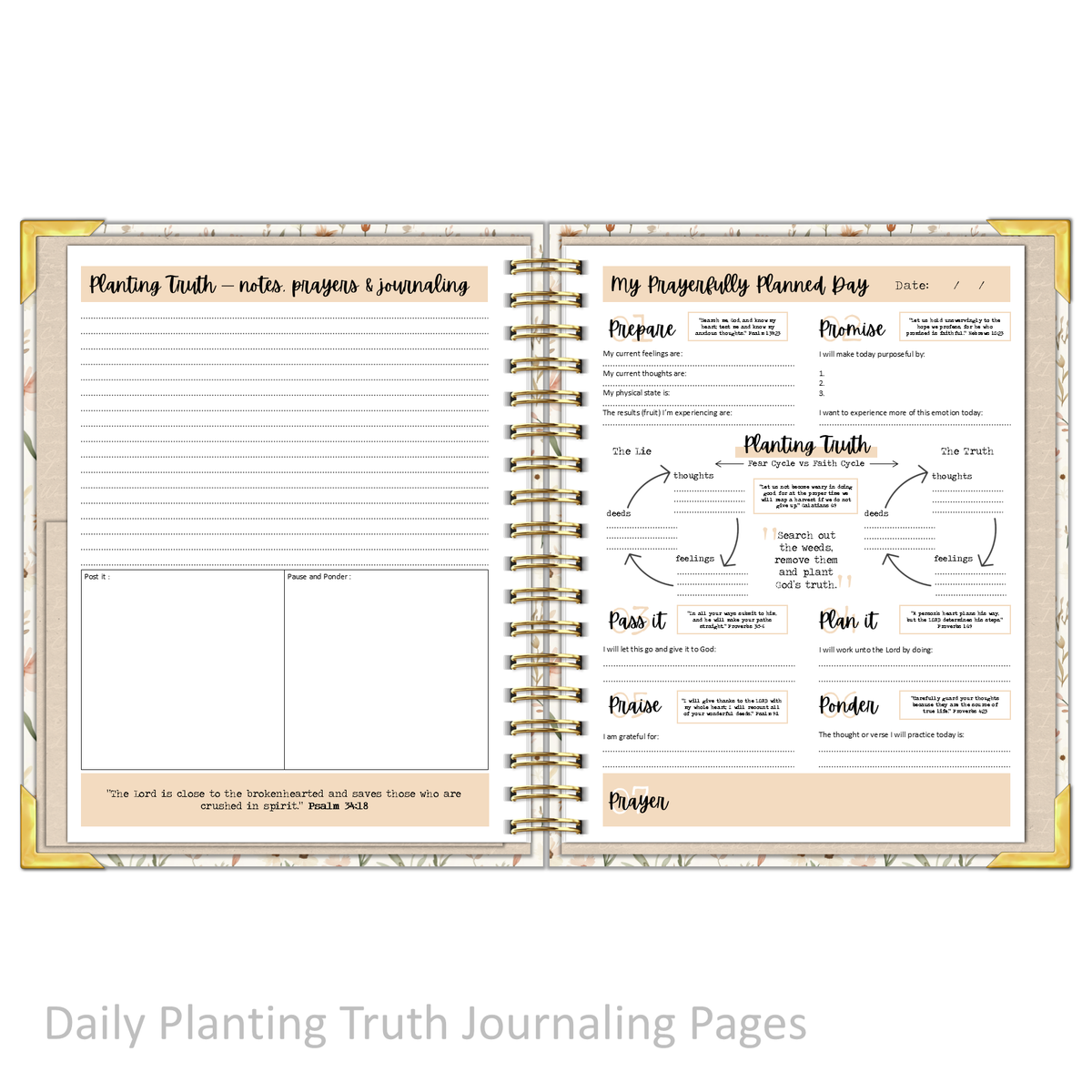 Planting Truth Journal - Bundle