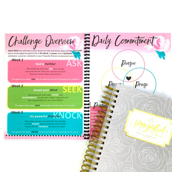 PRINTABLE Renewed Faith 21 Day Challenge