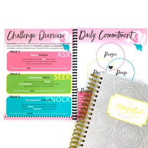 PRINTABLE Renewed Faith 21 Day Challenge