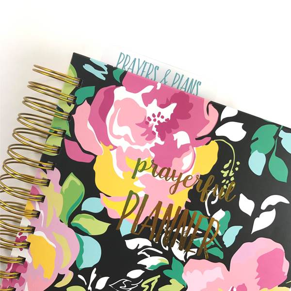 Snap-In Dashboard + Pen