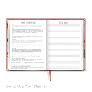 Weekly Planner - UNDATED Soft Cover Blush