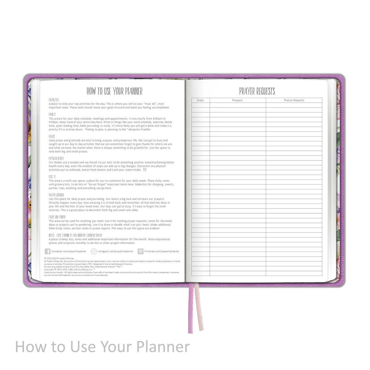Weekly Planner - UNDATED Soft Cover Plum