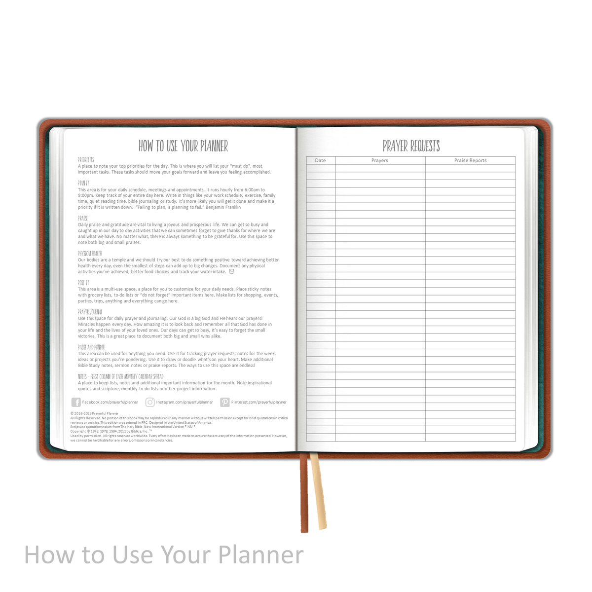 Weekly Planner - UNDATED Soft Cover Saddle