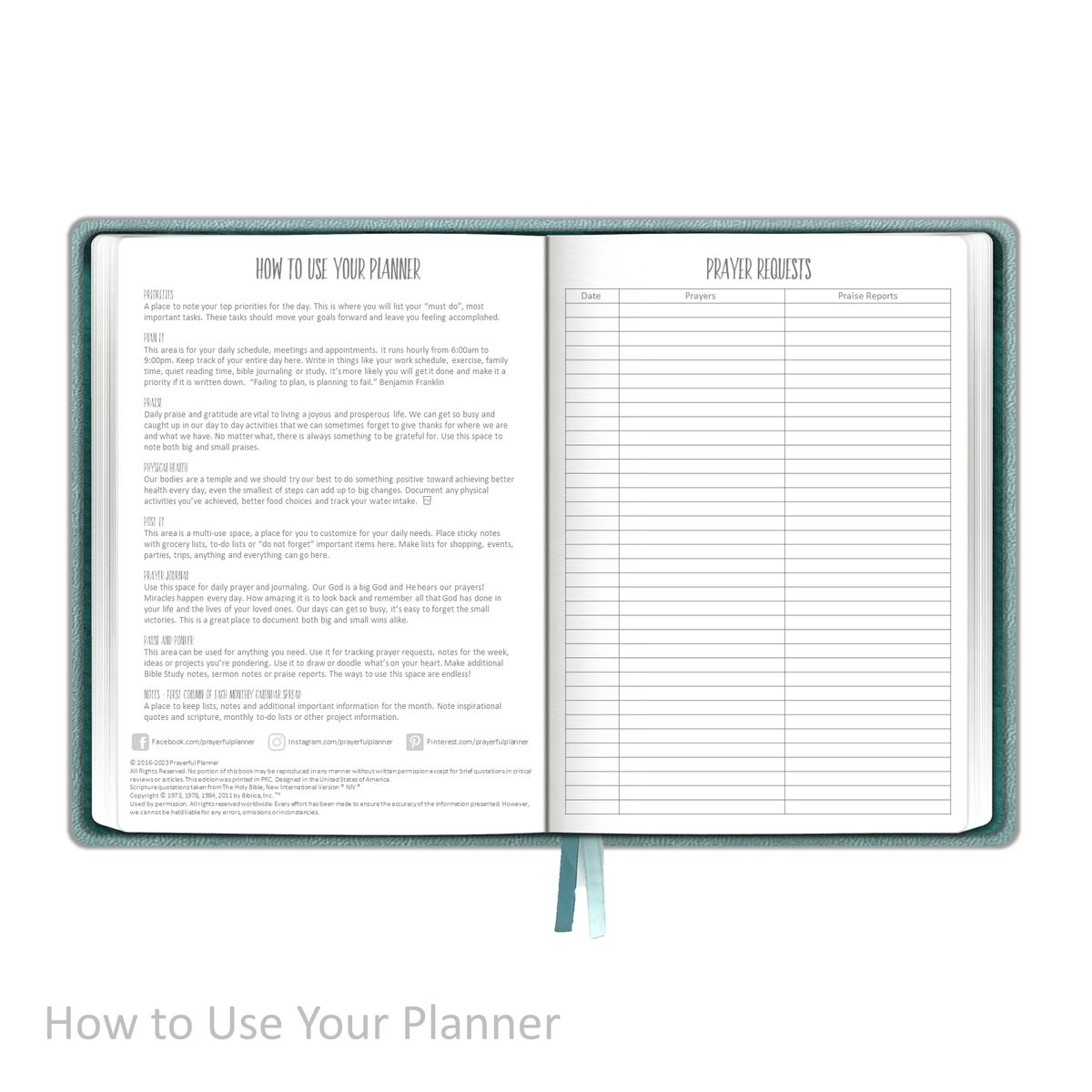 Weekly Planner - UNDATED Soft Cover Aqua