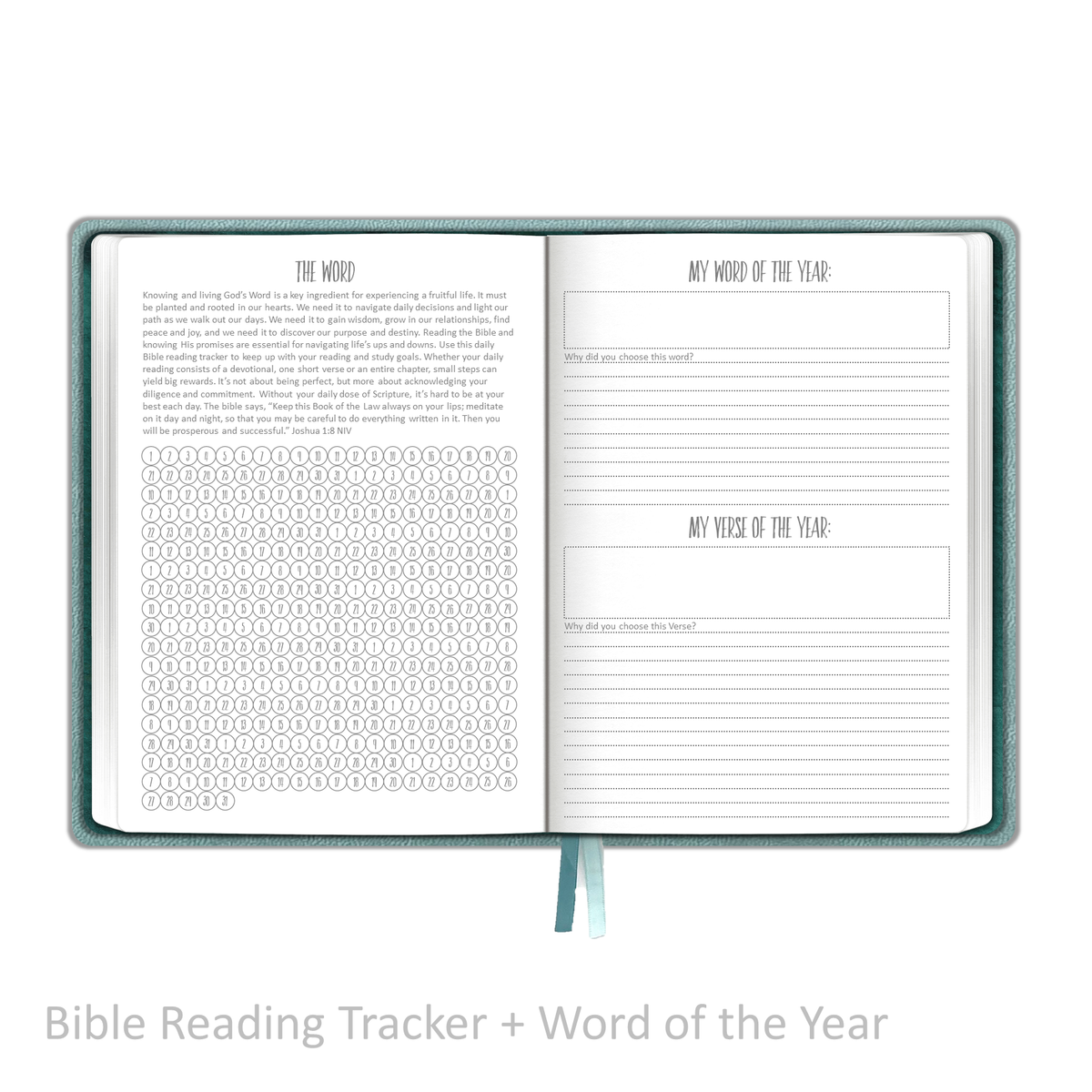 Weekly Planner - UNDATED Soft Cover Aqua