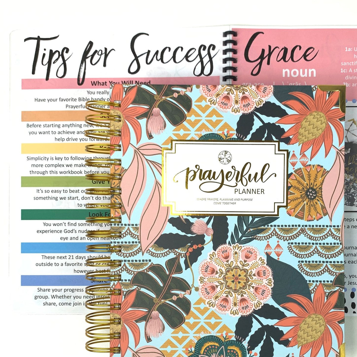 PRINTABLE Grow in Grace 21 Day Challenge